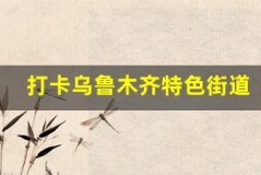 打卡乌鲁木齐特色街道,感受城市风情