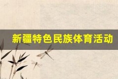 新疆特色民族体育活动,体验别样乐趣